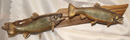 Fish Mount 7